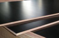 Những yếu tố quyết định chất lượng ván ép coppha