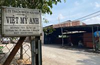 Sử dụng ván ép phủ phim đúng cách: Giải pháp cắt giảm 30% chi phí vật tư