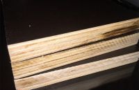 Những điểm đặc biệt chỉ có tại Ván ép coppha Việt Mỹ Anh