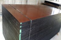 Các vấn đề liên quan đến ván ép coppha phủ phim