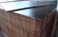 Các Loại Coppha Trong Xây Dựng Hiện Nay