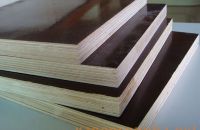 Đặc tính và thành phần của ván ép coppha chịu nước