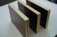 Tại Sao Nên Sử Dụng Ván Ép Coppha Phủ Phim Trong Xây Dựng