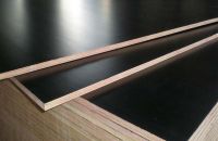 Vì sao bạn nên chọn ván ép coppha phủ phim