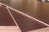 Phương Pháp Bảo Quản Ván Ép Coppha